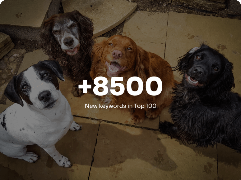 Pawmaw Feature Image